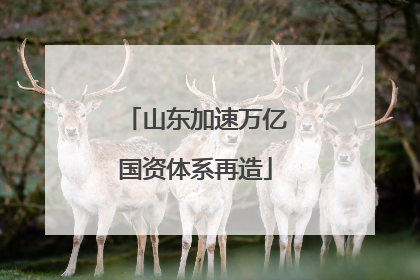 山东加速万亿国资体系再造
